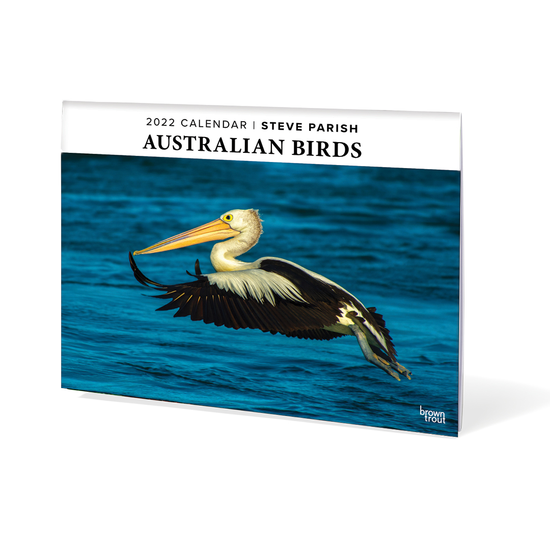 2022 wall calendar - Australian birds