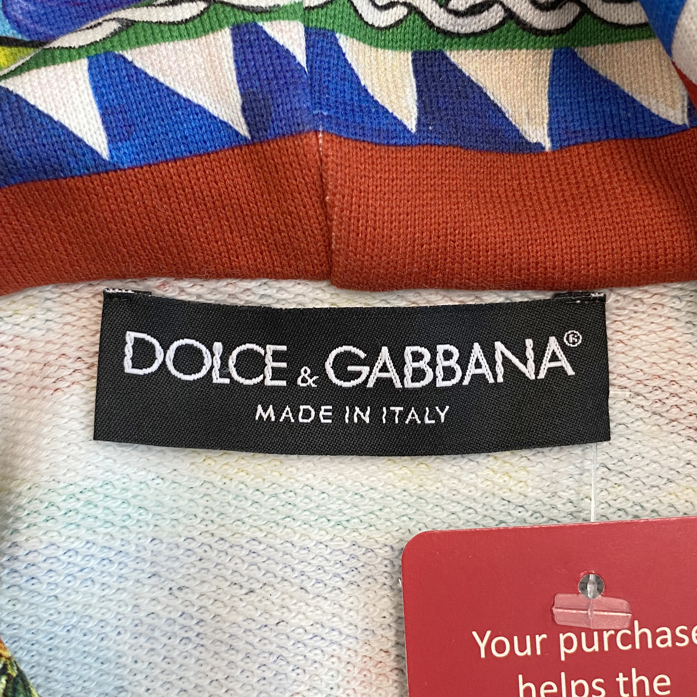 Dolce & Gabbana Colourful "Sicilian Chinoiserie" Print Hoodie